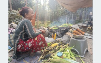 पोलेको मकैको व्यापार फस्टाउँदै