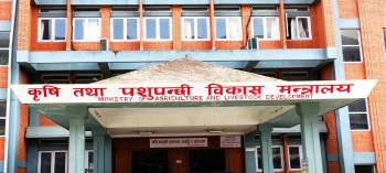 मधेसका पालिकाहरुमा पशुपक्षी उपचार केन्द्र निर्माण गरिँदै