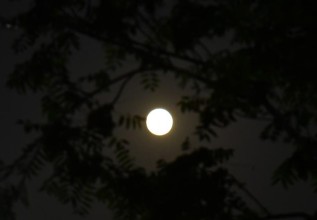 धनधान्यकी देवी महालक्ष्मीको पूजा आराधना गरियो, राति जाग्राम बसिँदै