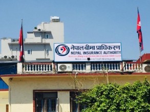 बीमा प्रतिविम्बको दोस्रो संस्करण सार्वजनिक