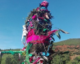 ‘ओल्के’ चाड मनाइँदै