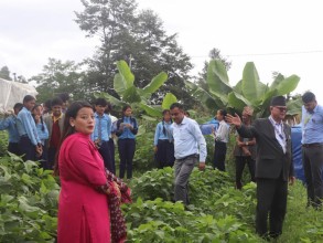 पढ्दै–कमाउँदै कार्यक्रम हटेसँगै सामुदायिक विद्यालय समस्यामा