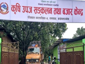 पाँचखालमा विषादीरहित तरकारी संकलन केन्द्र स्थापना