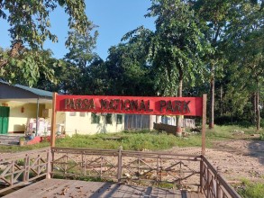 पर्यटकहरुको आकर्षणको केन्द्र बन्दै पर्सा राष्ट्रिय निकुञ्ज