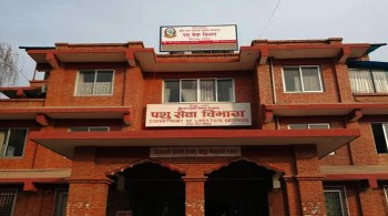 विभागद्वारा बर्डफ्लु सङ्क्रमित पन्छी बिक्री नगर्न निर्देशन