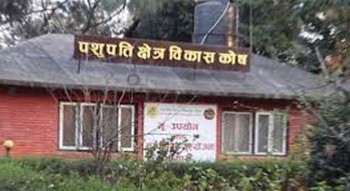 महाशिवरात्रिमा सहज दर्शनको व्यवस्थाः पशुपति विकास कोष