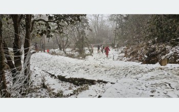 पाथीभरा क्षेत्रमा हिमपात