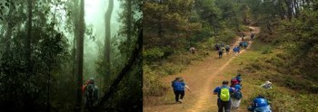 फुल्चोकी भ्रमणमा सावधानी अपनाउन अनुरोध