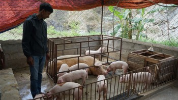 बंगुर पालेर स्वरोजगार र आत्मनिर्भर