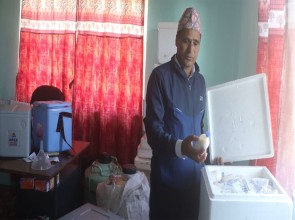 ‘पिपिआर र स्वाइन फिभर’ रोगविरुद्ध खोप अभियान सुरु