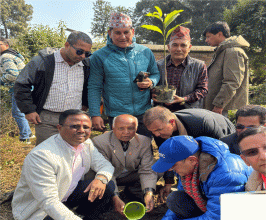 गृह सचिव दंगालद्वारा पशुपतिनाथमा वृक्ष रोपण, जन्मदिनमा  रुद्राक्ष रोपे