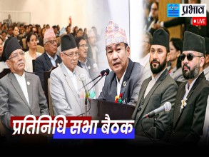 प्रतिनिधि सभाको बैठक सुरु
