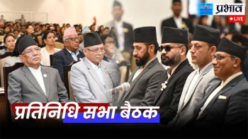 प्रतिनिधि सभा बैठक