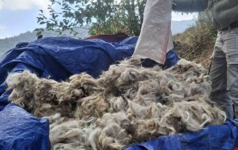 परम्परागत सीपको संरक्षण गर्न टेम्केमैयुङमा राडीपाखी बुन्ने तालिम