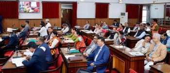 राष्ट्रियसभाः शोक प्रस्ताव पारित