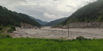 धानखेत बगरमा परिणत