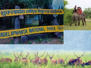 शुक्लाफाँटा घुम्ने पर्यटकको सङ्ख्या घट्यो
