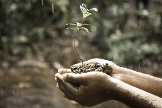 झापामा माटोको अम्लीयपन बिग्रँदै