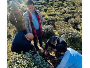 इलाममा सन नेपाल लाइफको हरित  अभियान