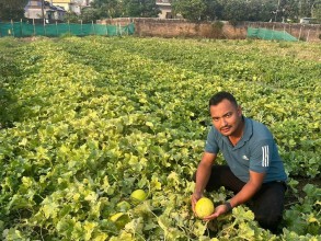 तरबुजा बिक्री गरेर रु १२ लाख आम्दानी