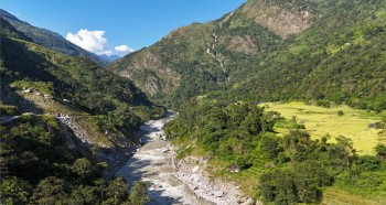 माथिल्लो अरुण आयोजना निर्माणका लागि दुई हजार बढी रुख काटियो