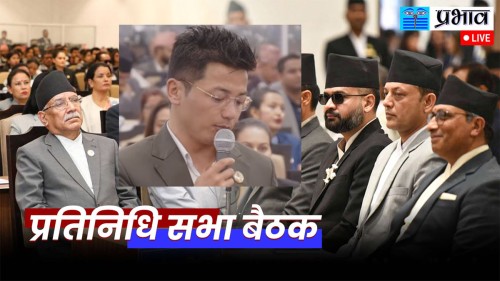 रुलिङमार्फत प्रधानमन्त्रीलाई सदनमा बोलाउन कांग्रेसका सांसद राईकाे माग