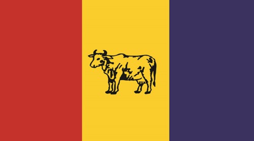 यी हुन् राप्रपाले सांसदमा सिफारिस गरेका व्यक्ति