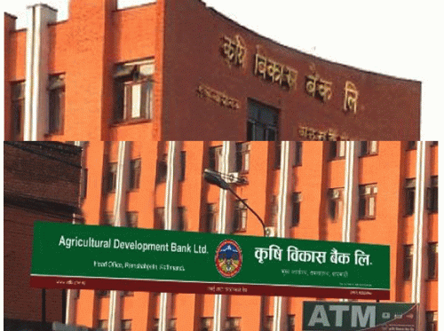 साम्बालाई कृषि विकास बैंकले गर्याे आर्थिक सहयाेग