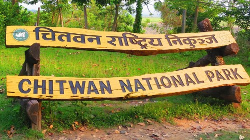 निकुञ्‍ज घुम्ने बाह्य पर्यटक घटे, आन्तरिक बढे