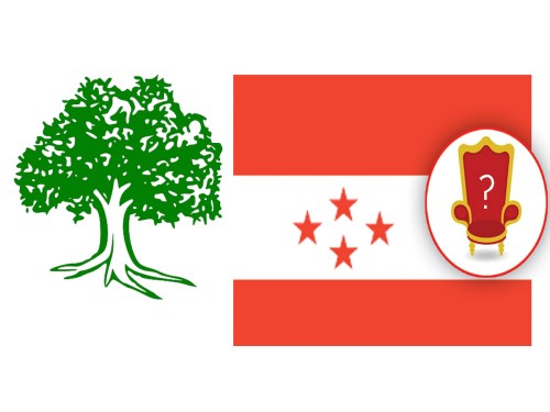 सन् २०४५ सम्म ‘नेटजिरो उत्सर्जन’ राष्ट्र बनाउने कांग्रेसको प्रतिबद्धता