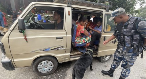 एक हजार १२० वटा सामुदायिक कुकुरको बन्ध्याकरण