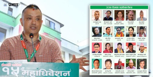 कांग्रेस पदाधिकारीमा प्रतिनिधिसभामा पराजित हुनेहरुको लर्को