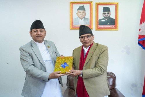 प्रदेश प्रमुखसमक्ष मुस्लिम आयोगको वार्षिक प्रतिवेदन पेस