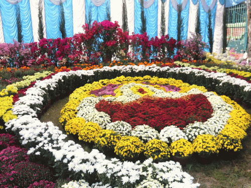 तेस्रो राष्ट्रिय ‘हर्टिकल्चर एक्स्पो’ सुरु