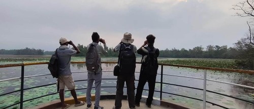 घोडाघोडी सिमसार क्षेत्रमा सूचक प्रजाति हरिहाँसको गणना सुरु