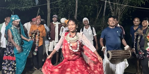 थारू बस्तीमा हुर्डुङग्वा नाचको रौनक