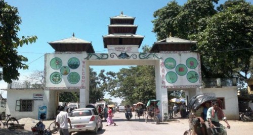 पूर्वी नाकाबाट चिया निर्यातमा गिरावट