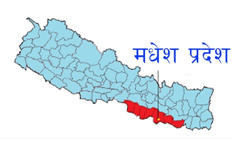 प्रधानमन्त्री कप क्रिकेटः मधेस प्रदेश पाँच विकेटले विजयी