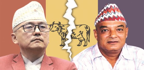 फेरि विभाजनको संघारमा राप्रपा