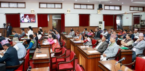 सामाजिक सद्भाव, सङ्घीयता सुदृढीकरण र जनप्रतिबद्धता पूरा गर्न सांसदको जोड