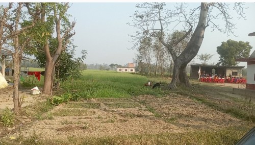 रुपन्देहीका मतदाता चार दशकदेखि लालपूर्जाको  आशमा  