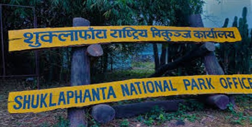 शुक्लाफाँटामा बाघ गणना सुरु