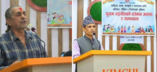 म्युजिक भिडियो र लघुचलचित्र राज्यको बेवास्तामा परेको गुनासो 