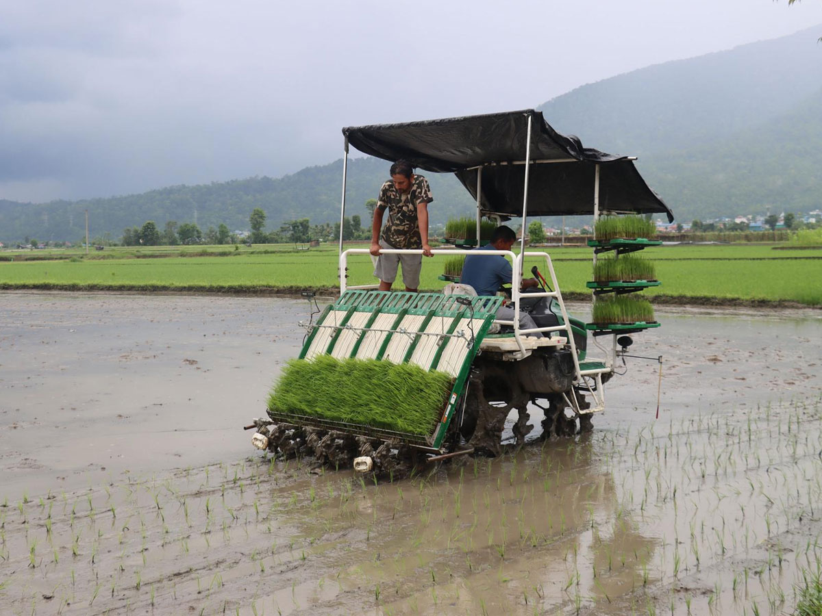 Ropai--Chitwan--by-machine-1751283223.jpg