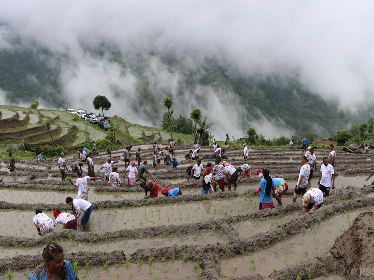 Ropai--sankhuwasabha-1751283231.jpg