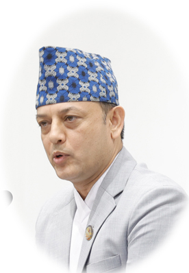 dp-ariyal-1787033282.jpg
