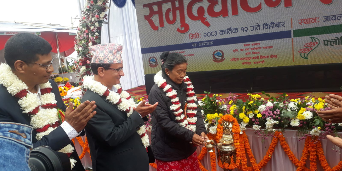 godawari-1793268467.jpg